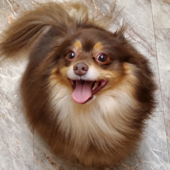 Some of my babies♡ - Picture 11 of 16